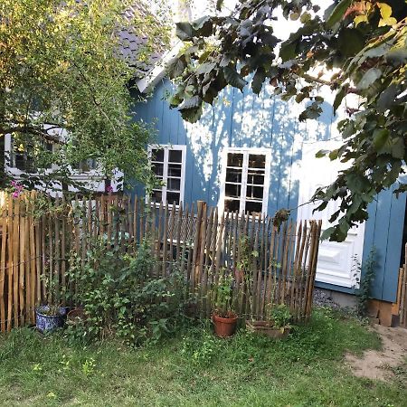 Sonnige Fachwerkwohnung Alfter Ngoại thất bức ảnh